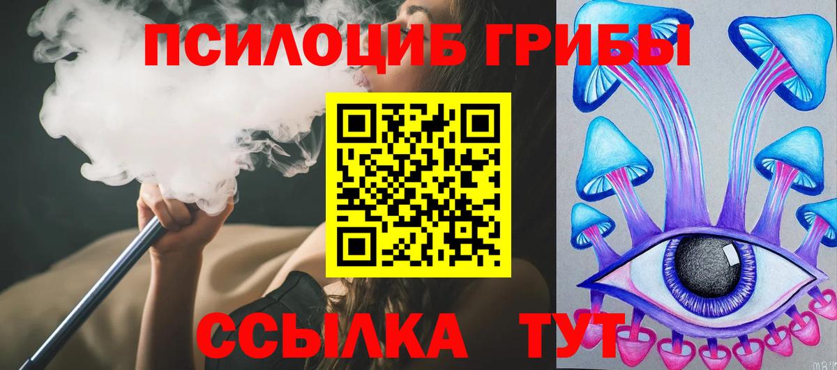Малгобек  Галлюциногенные грибы Psilocybine cubensis  как найти закладки  Вход с VPN  Галлюциногенные грибы мицелий 