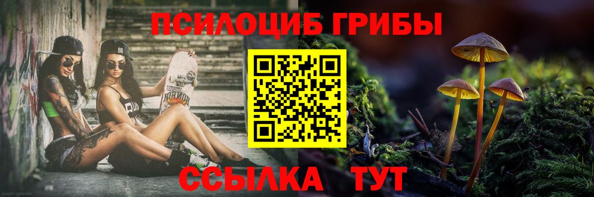 Галлюциногенные грибы Cubensis Малгобек